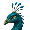 Peacock Dragon thumbnail